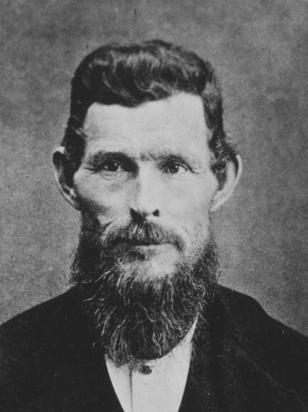 Samuel Wilburn McClellan (1833 - 1912) Profile